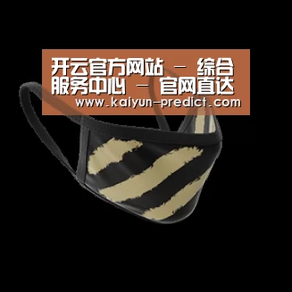 成人布口罩