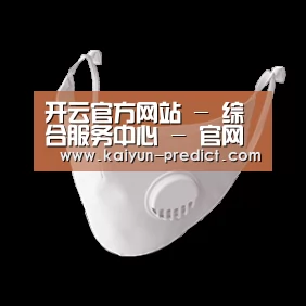 N95 口罩