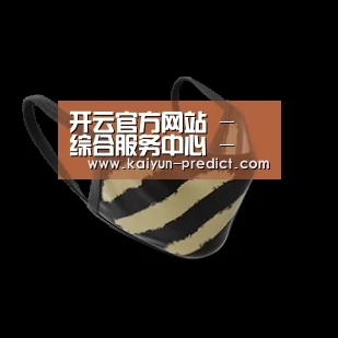 成人布口罩