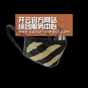 成人布口罩