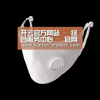 N95 口罩