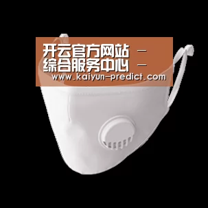 N95 口罩